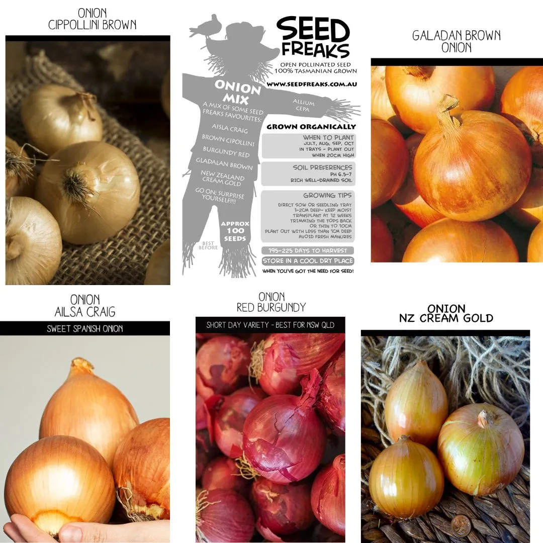 Seed Freaks - ONION MIX - Image 2