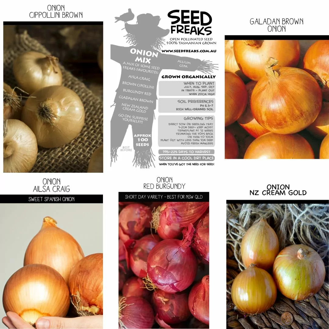 Seed Freaks - ONION MIX - Image 4