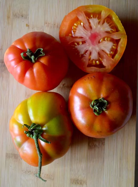Tomato - Burwood Prize