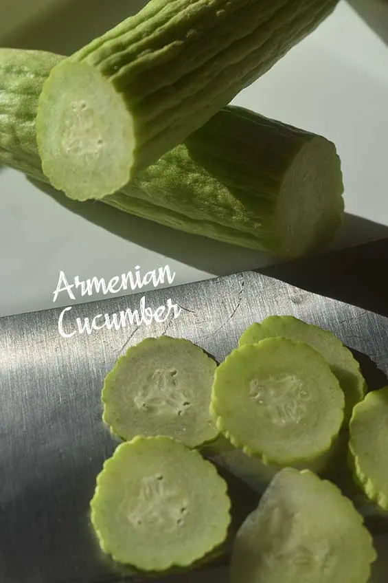 Picture of Seed Freaks Armenian Cucumber Sliced