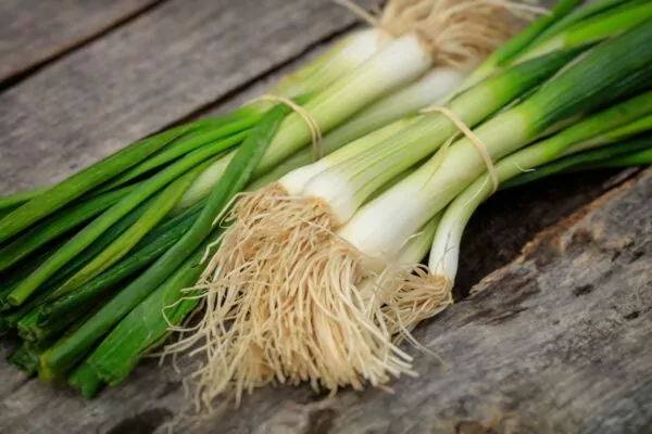 Picture of Spring Onions "grandstand" variety