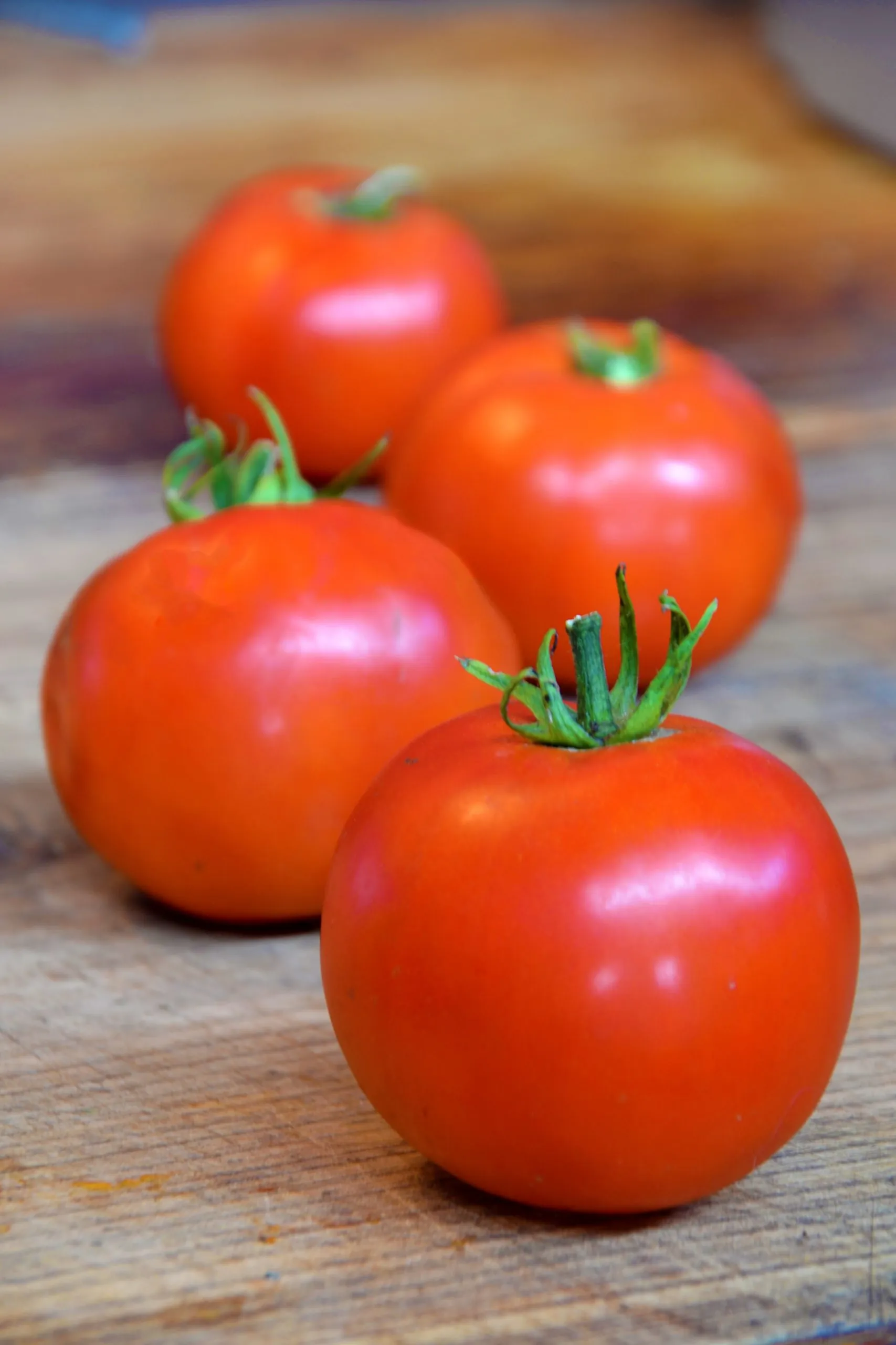 Tomato - Legend - Image 2