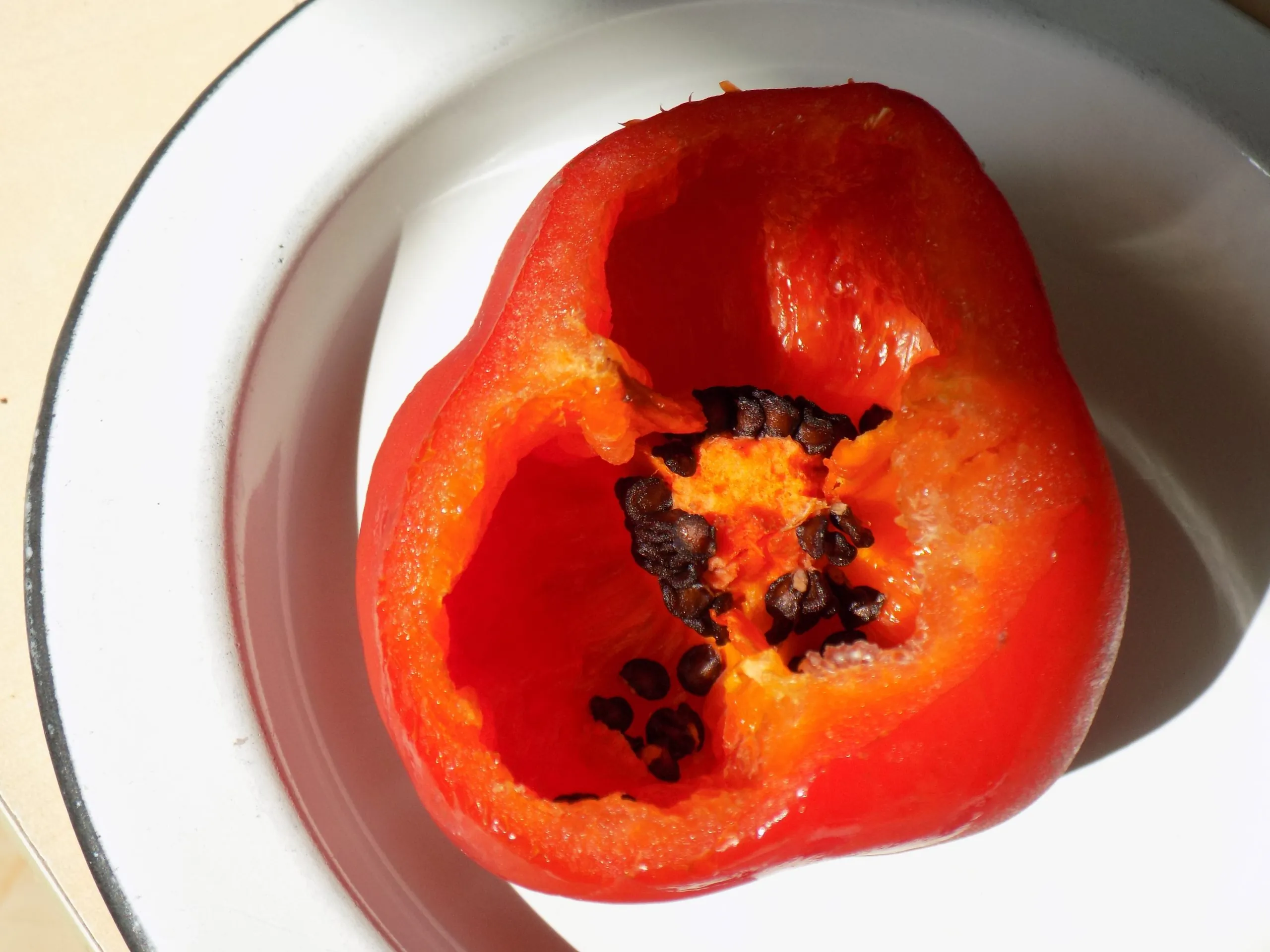 Seed Freaks - Chilli - Rocoto