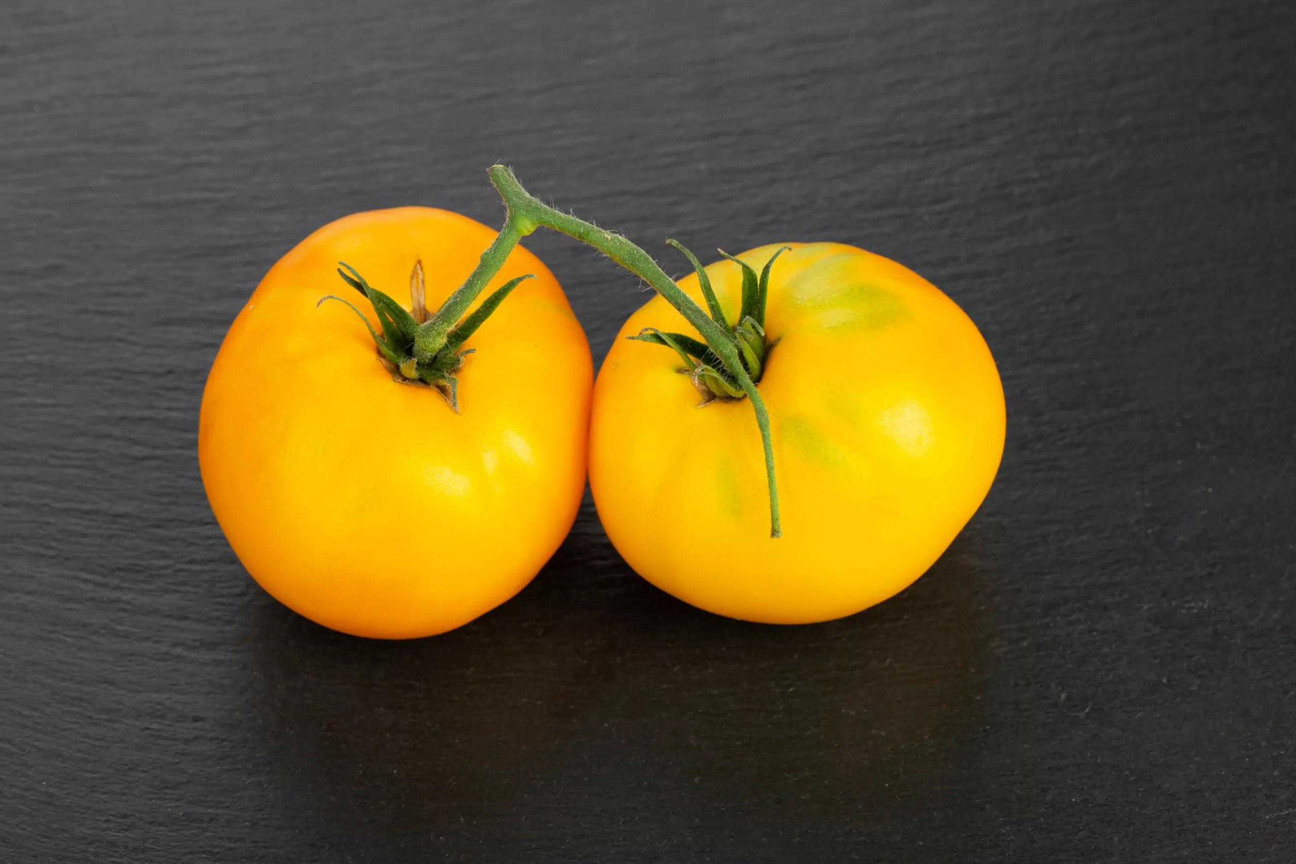 Tomato - Yellow Perfection - Image 3