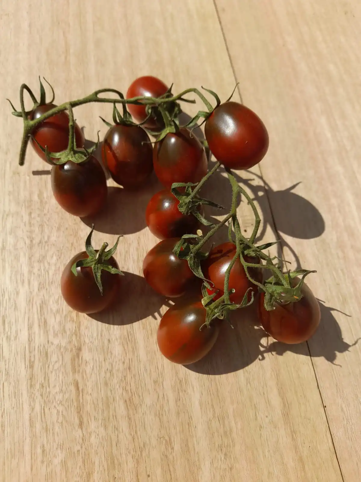 Tomato - Black Plum