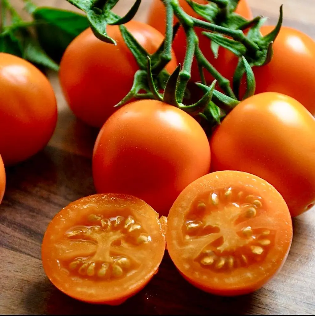 Tomato - Blond Koepfchen