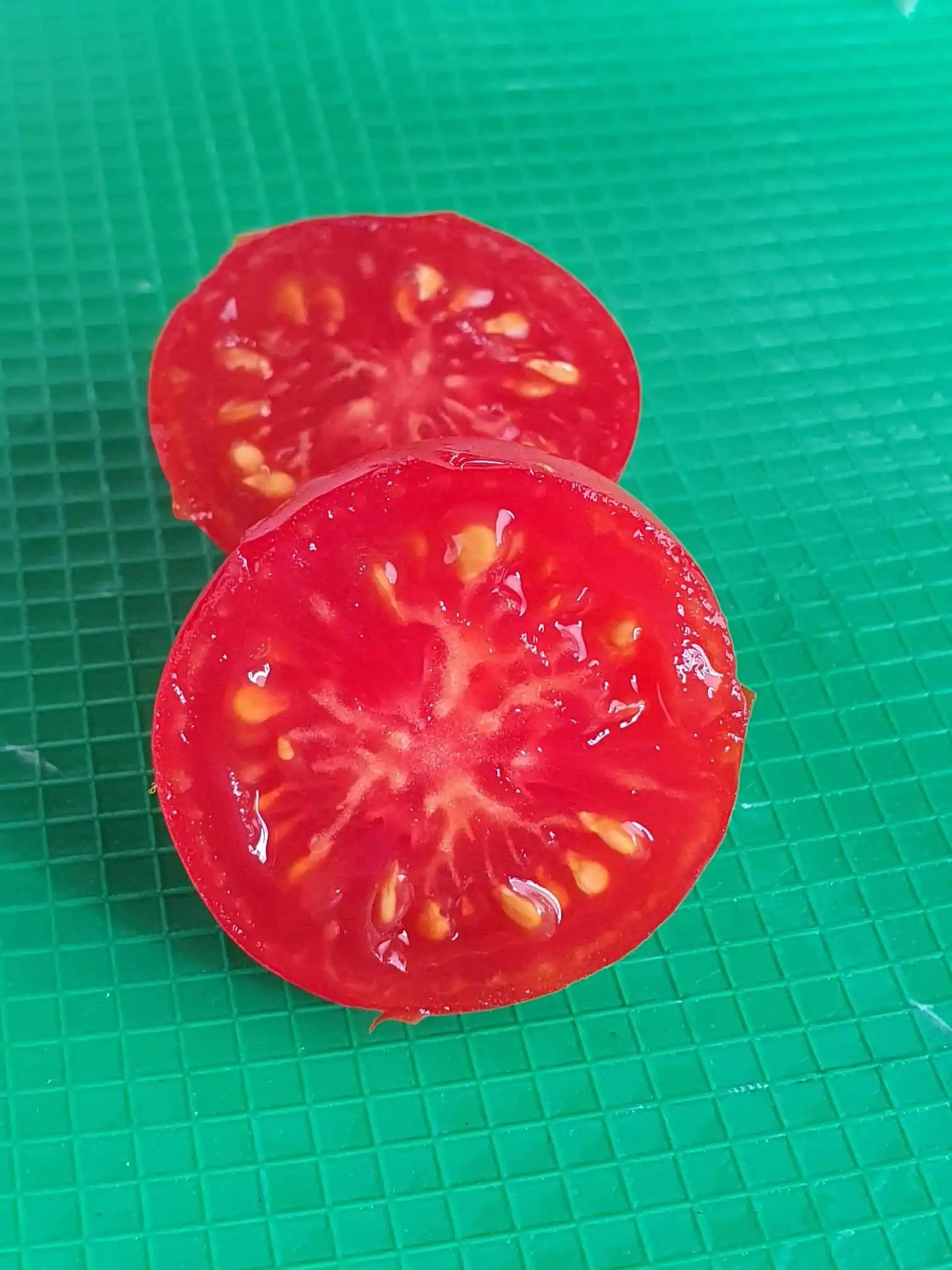 Tomato - Cressy Charm - Image 2