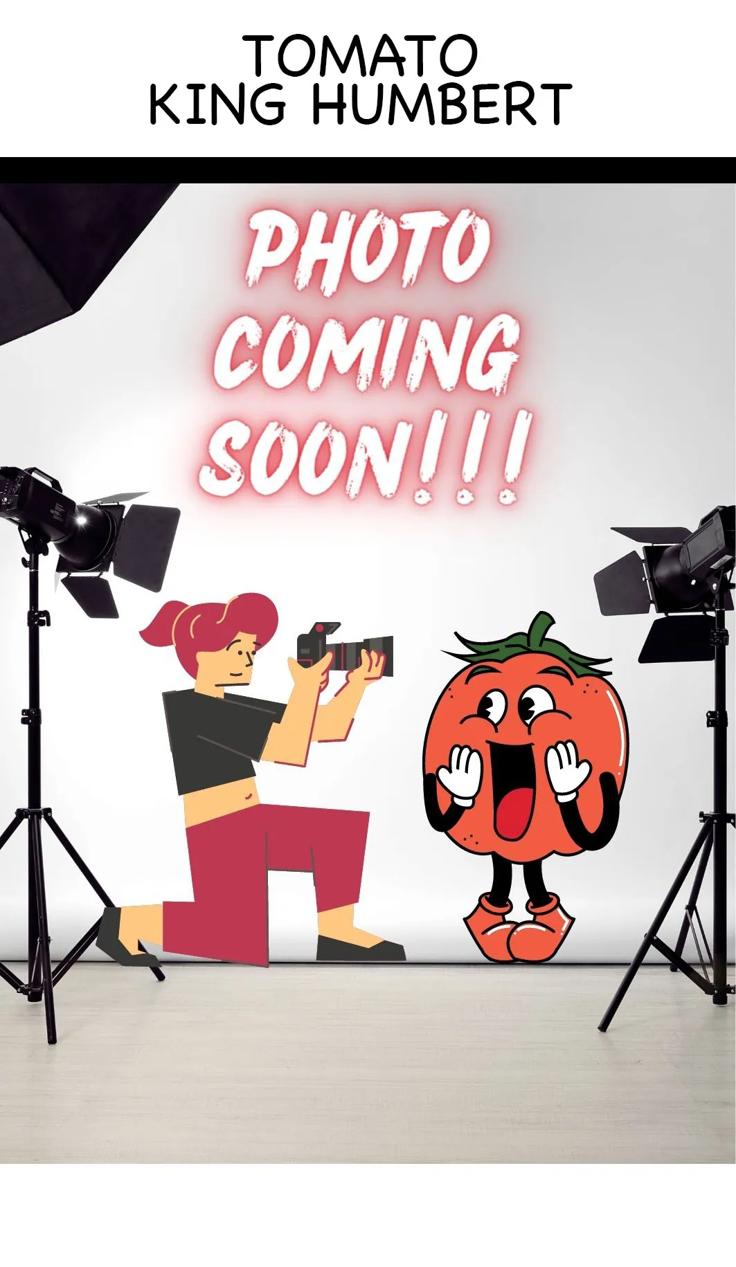 Tomato - King Humbert - Image 4