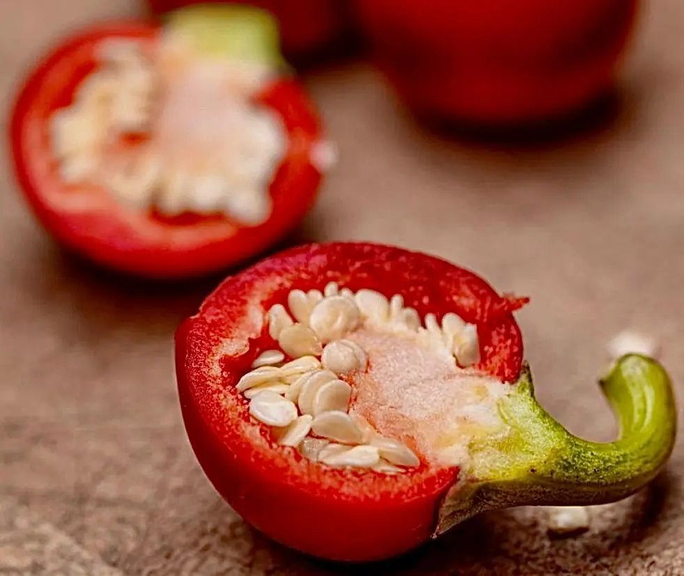 Seed Freaks - Chilli - Red Cherry