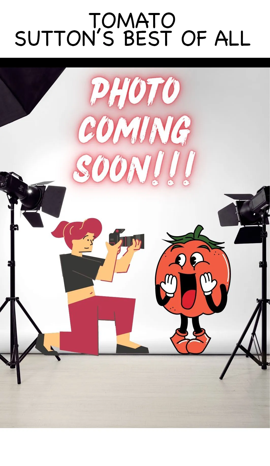 Tomato - Sutton's Best of All