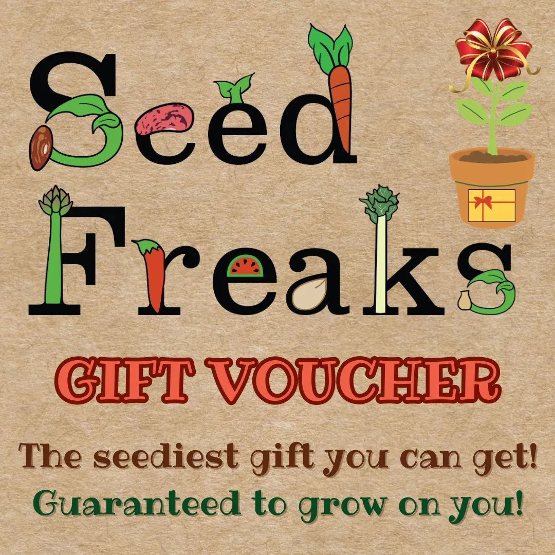 Gift Voucher $100