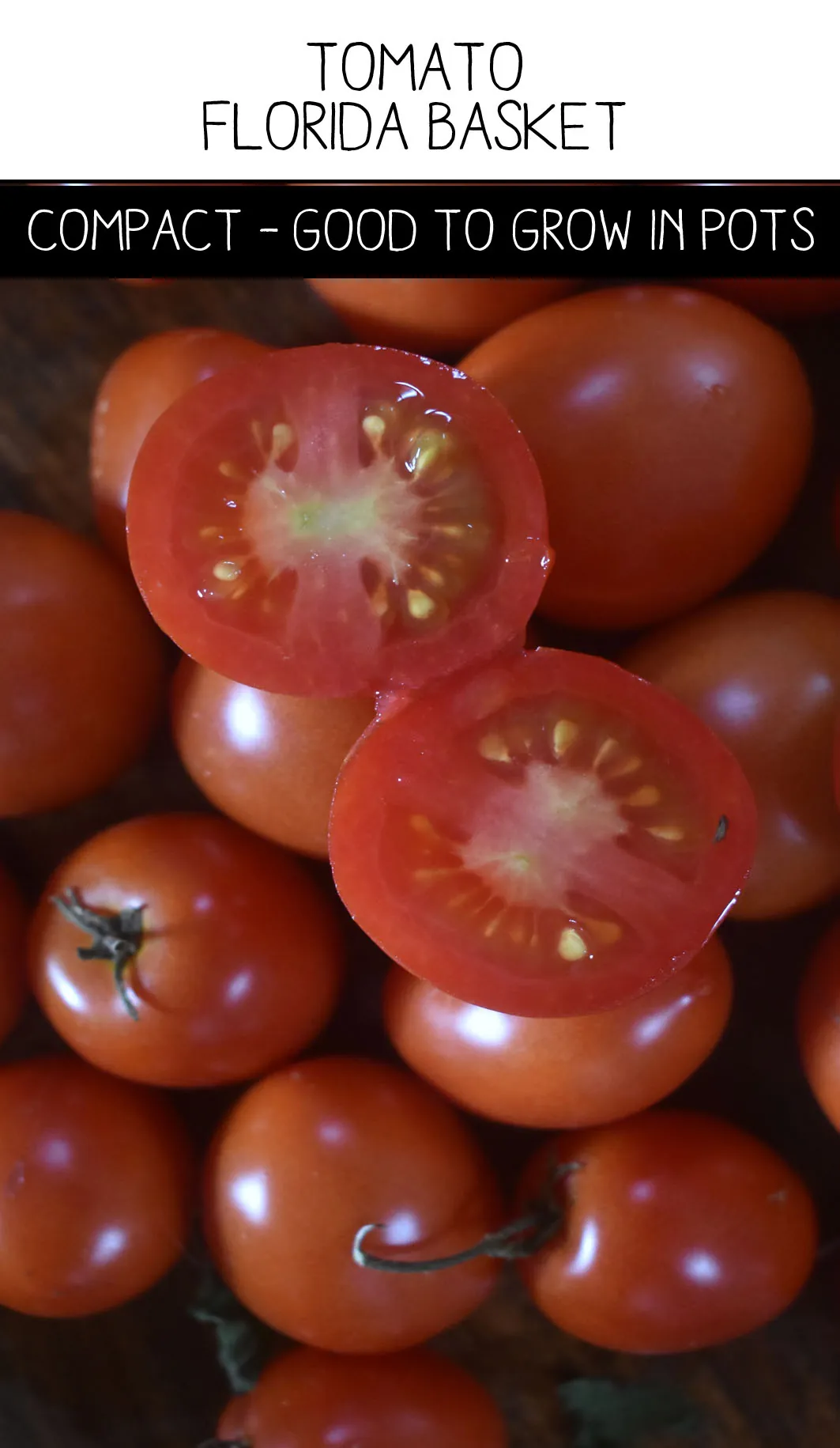 Tomato - Florida Basket
