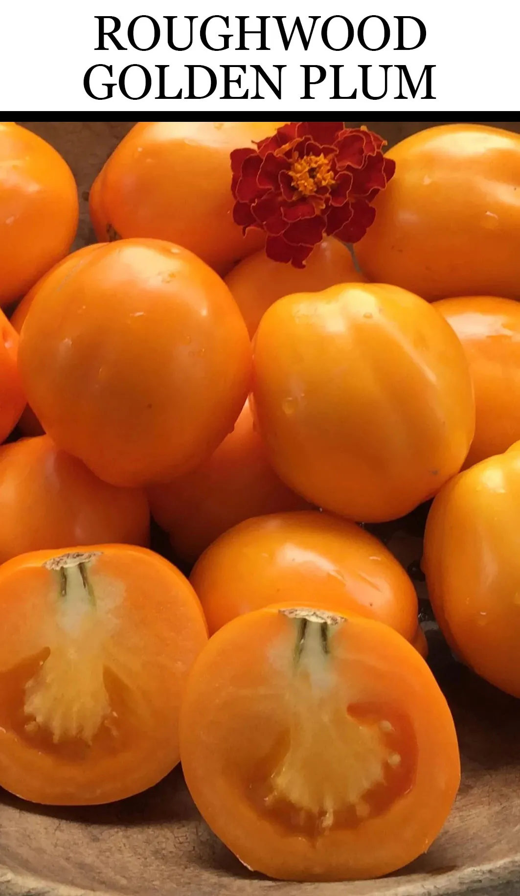 Tomato - Roughwood Golden Plum