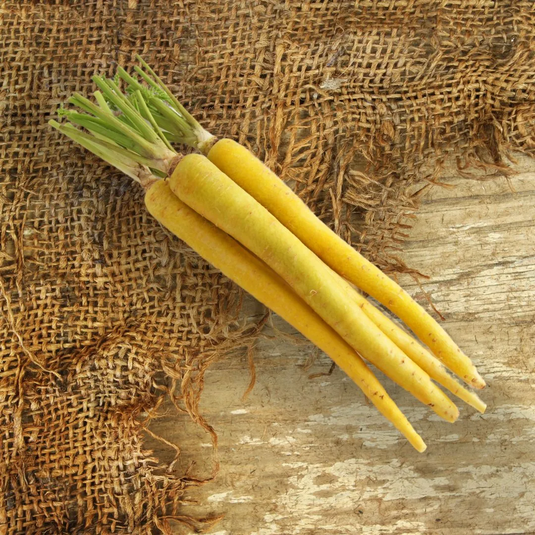 Seed Freaks - Carrots - Yellow Lobbericher
