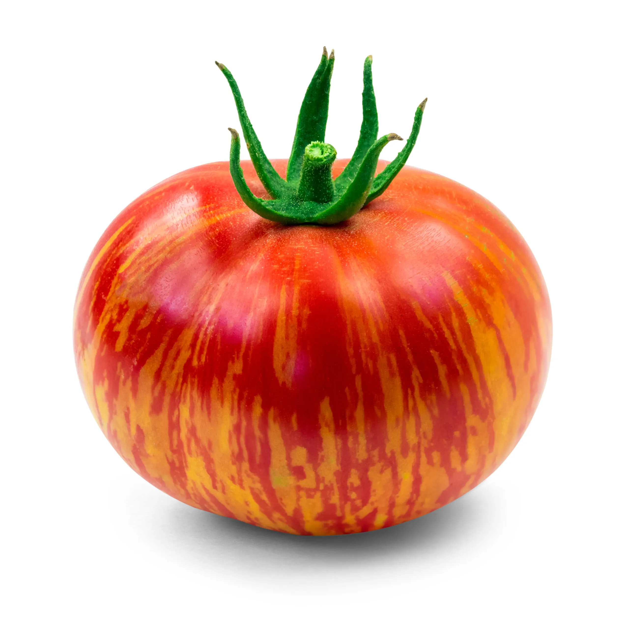 Tomato - Dragon's Eye