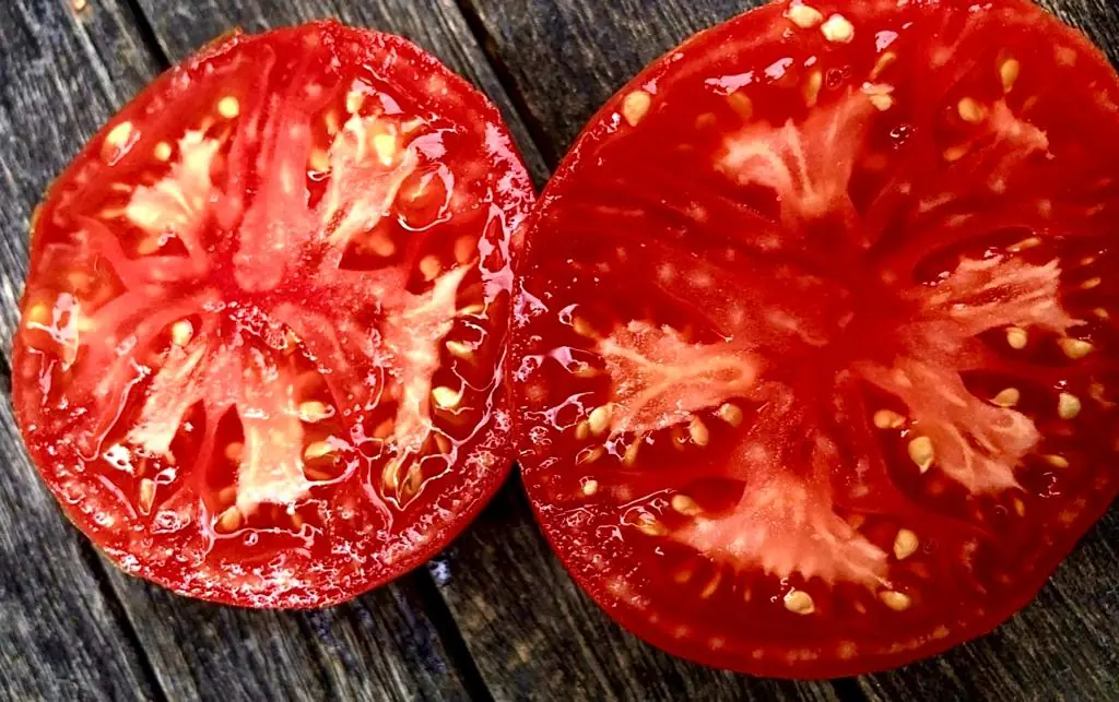 Tomato - Earliana