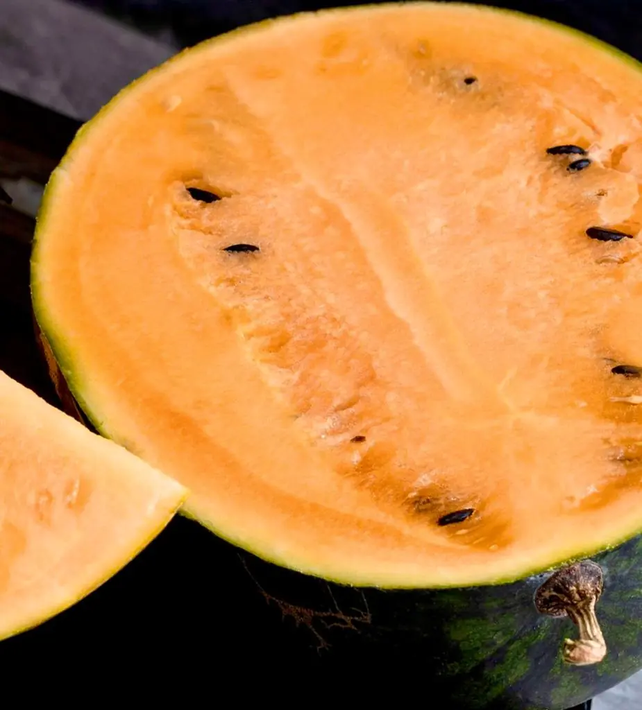 SEED FREAKS - Melons - Sweet Siberian