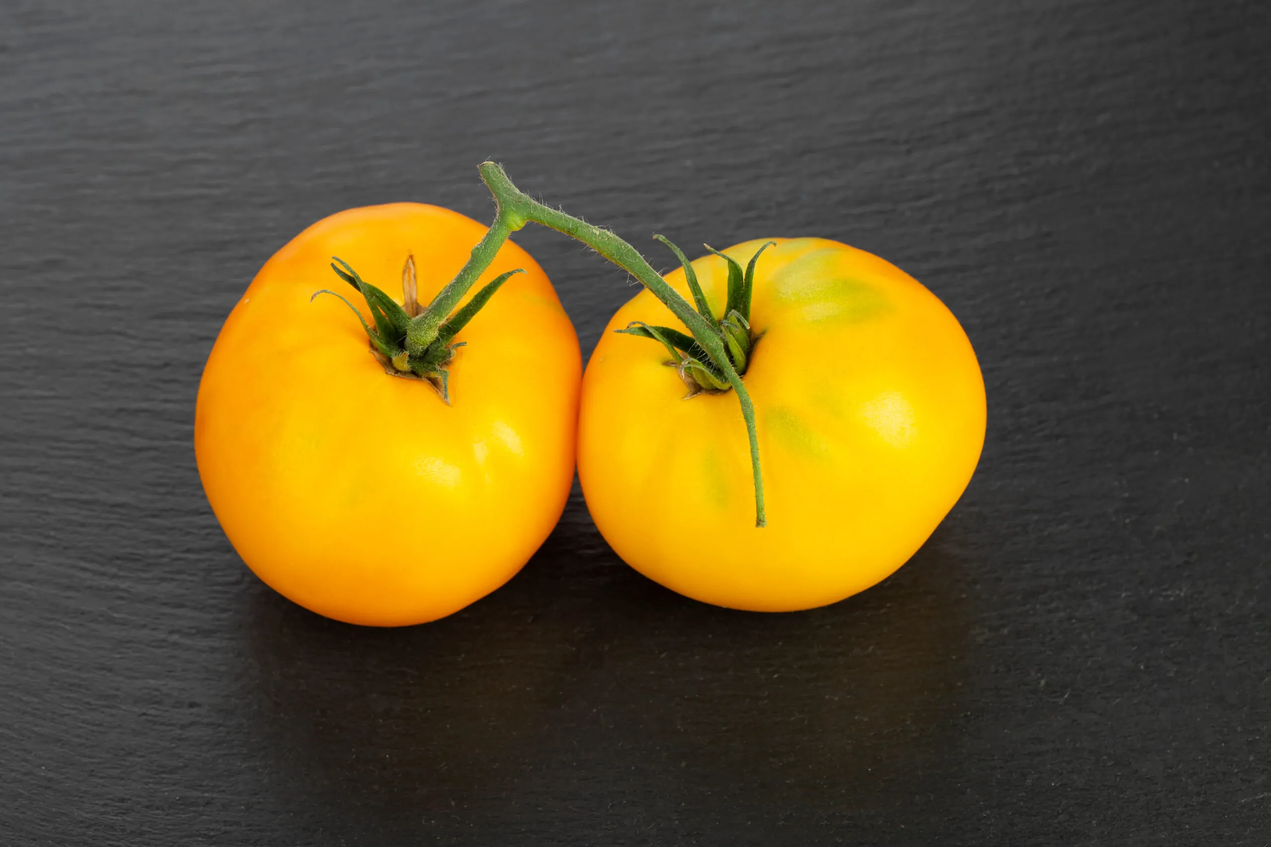 Tomato - Yellow Perfection - Image 2