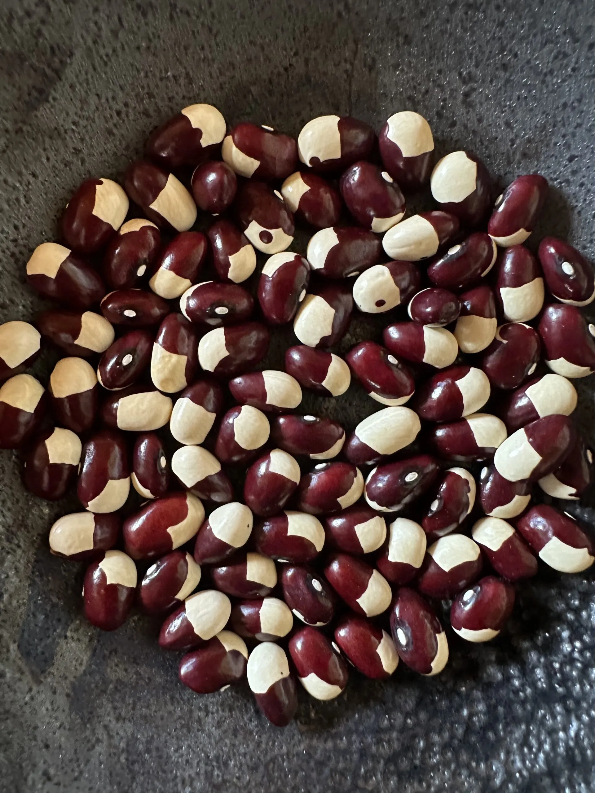 BUSH BEAN: KILHAM GOOSE