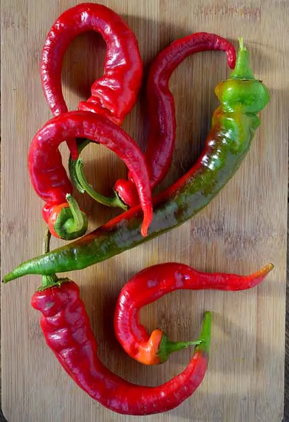 Seed Freaks - Capsicum/Chilli  Jimmy Nardello