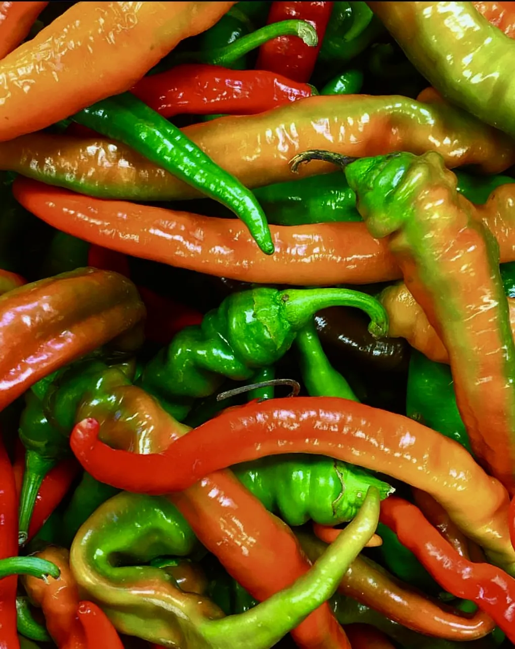 Seed Freaks - Chilli - Cayenne Colour Mix